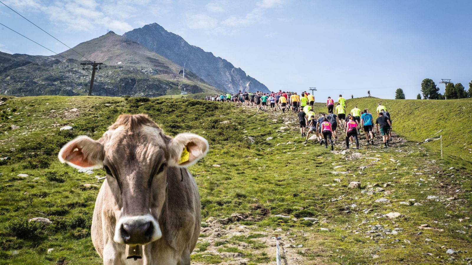 Die Berge in Tirol